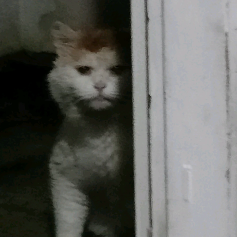 Image uploaded by Patryk