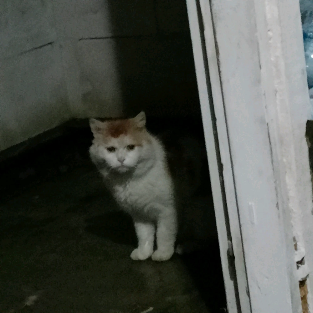 Image uploaded by Patryk