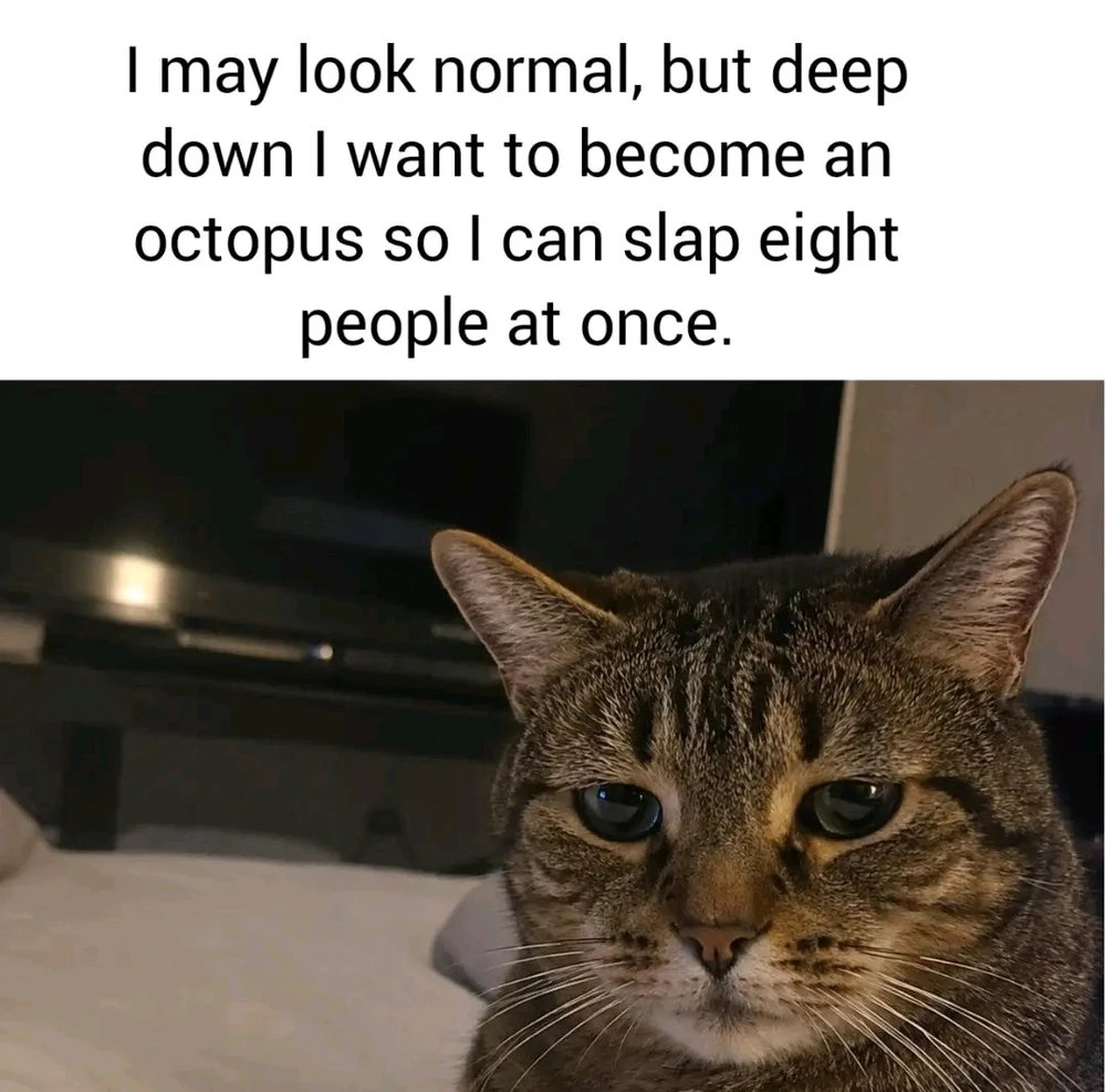 GIF opgelaai deur Idta