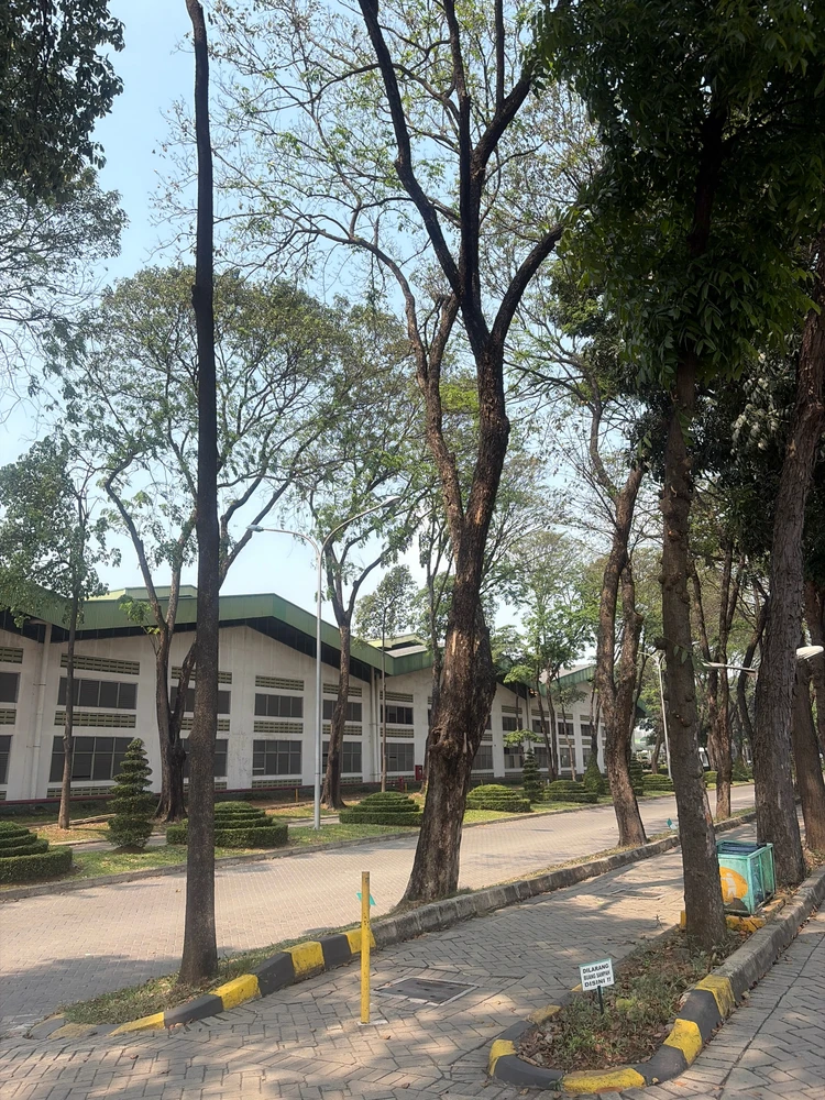 GIF uploaded by Philiang