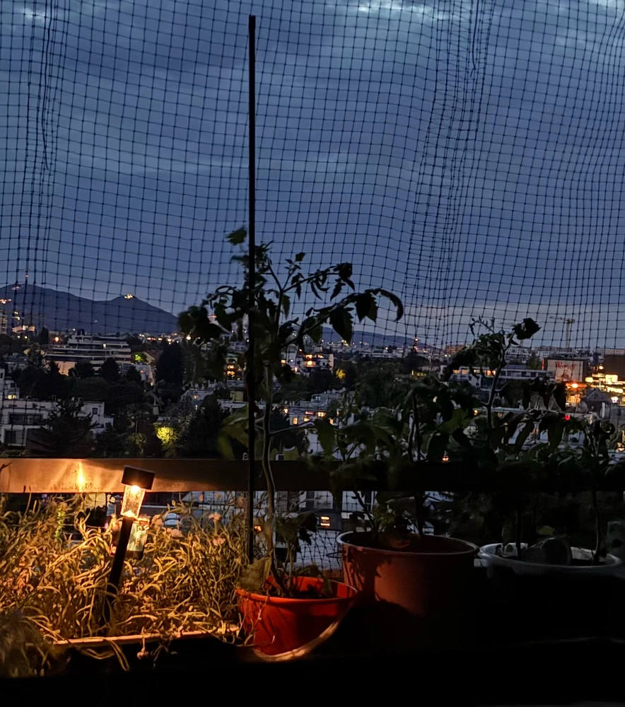 GIF uploaded by Funnygirl