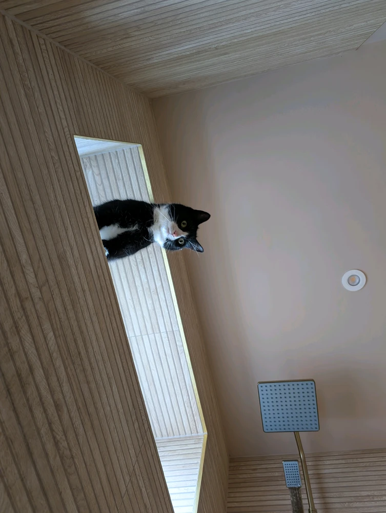 GIF eropgeluede vum Andy