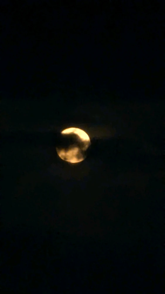 GIF uploaded by Mauricio