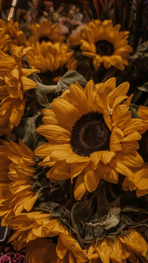 GIF uploaded by Jhona