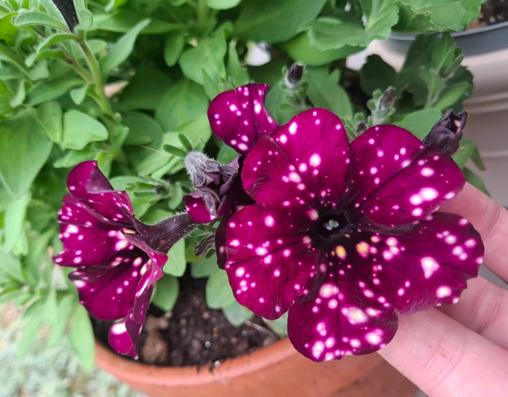 GIF uploaded by Aida