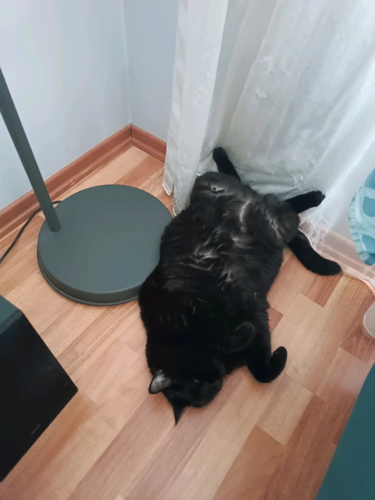GIF uploaded by Yağız