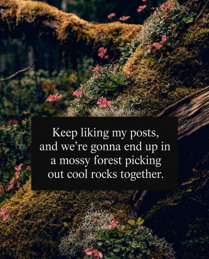 GIF uploaded by ℳℴ𝓇𝓃𝒾𝓃ℊ𝓈𝓉𝒶𝓇