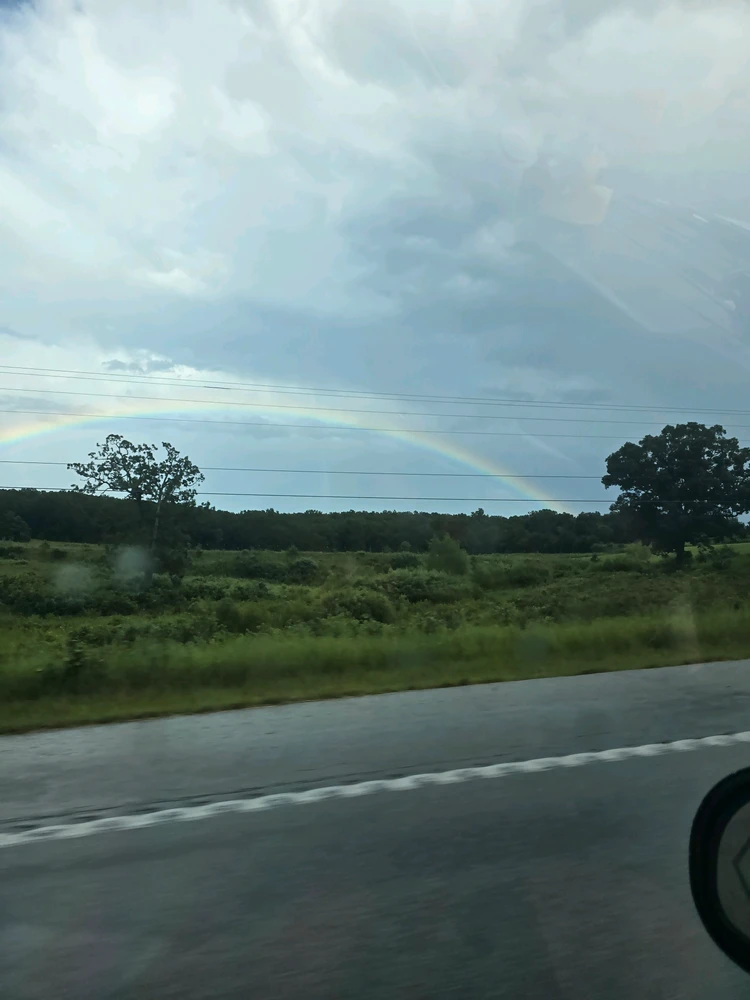 Pretty rainbow. 
