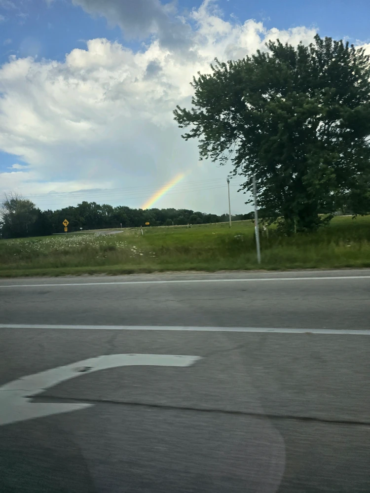 More rainbow.