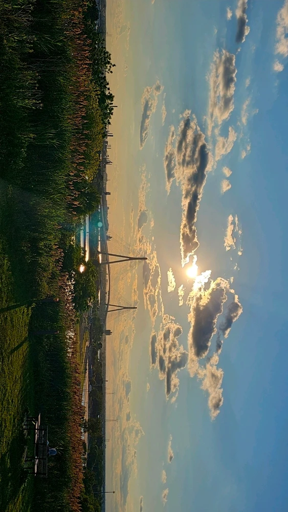 Image uploaded by Zach