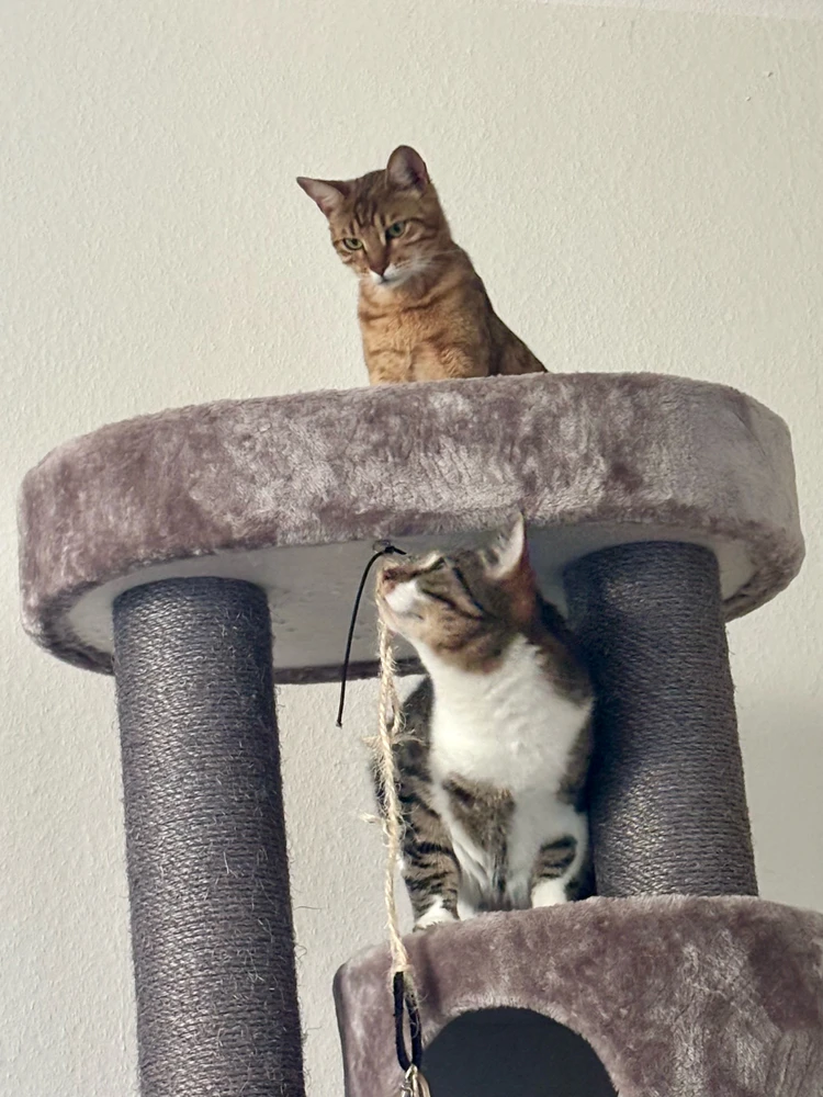 GIF uploaded by JP