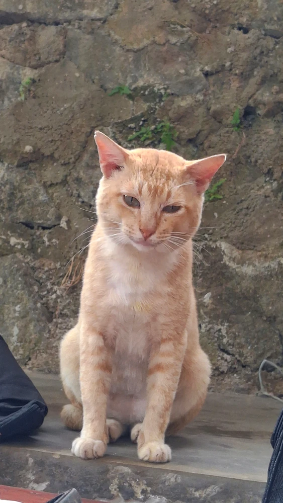 GIF uploaded by Ikanterika