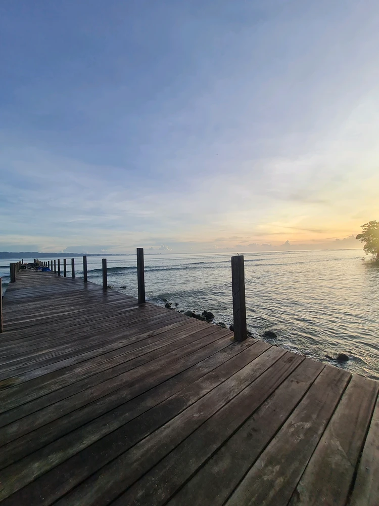 GIF được Ryan tải lên