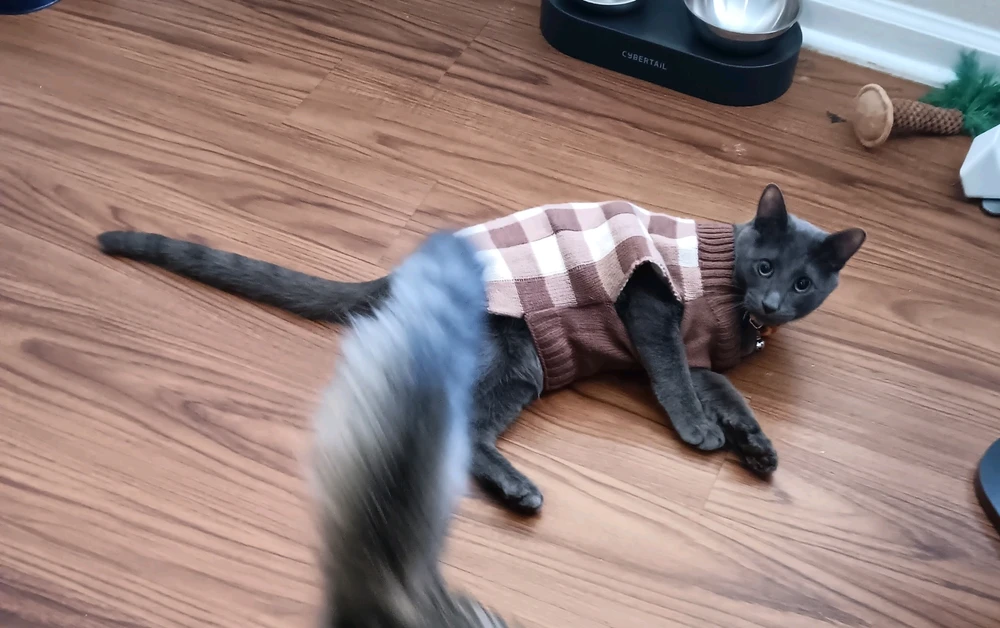 GIF uploaded by Nina