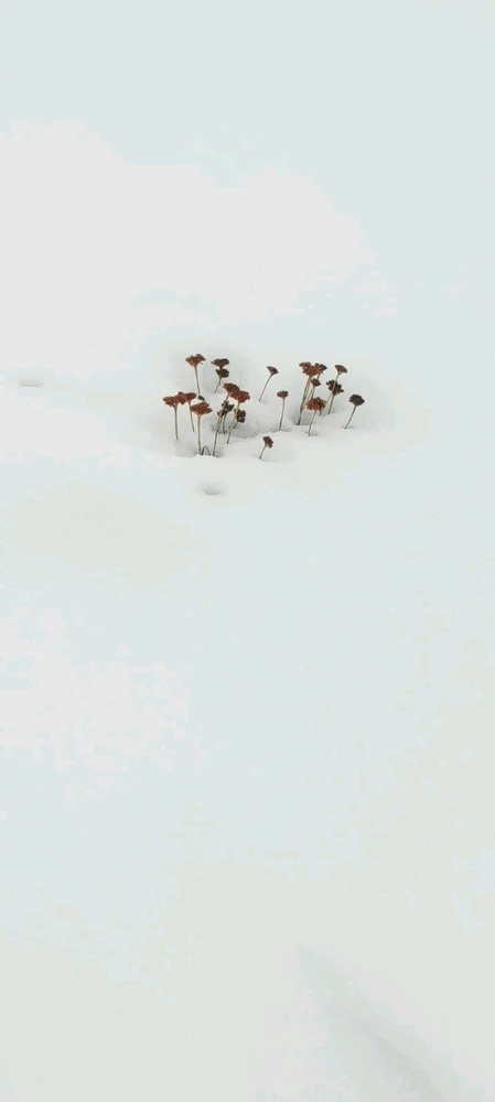 GIF uploaded by Rahul