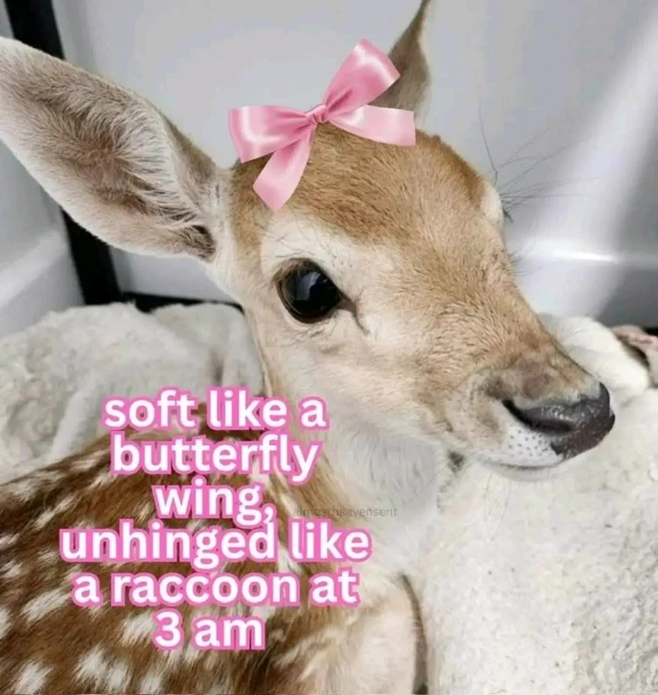 GIF nahrál ❤ Sophia aka Mango Mami ❤️