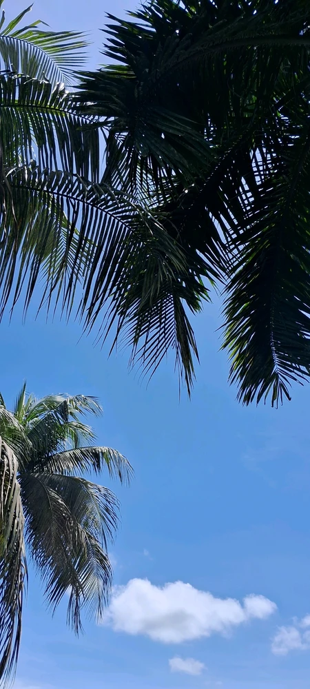 Image uploaded by Nina Tahjir