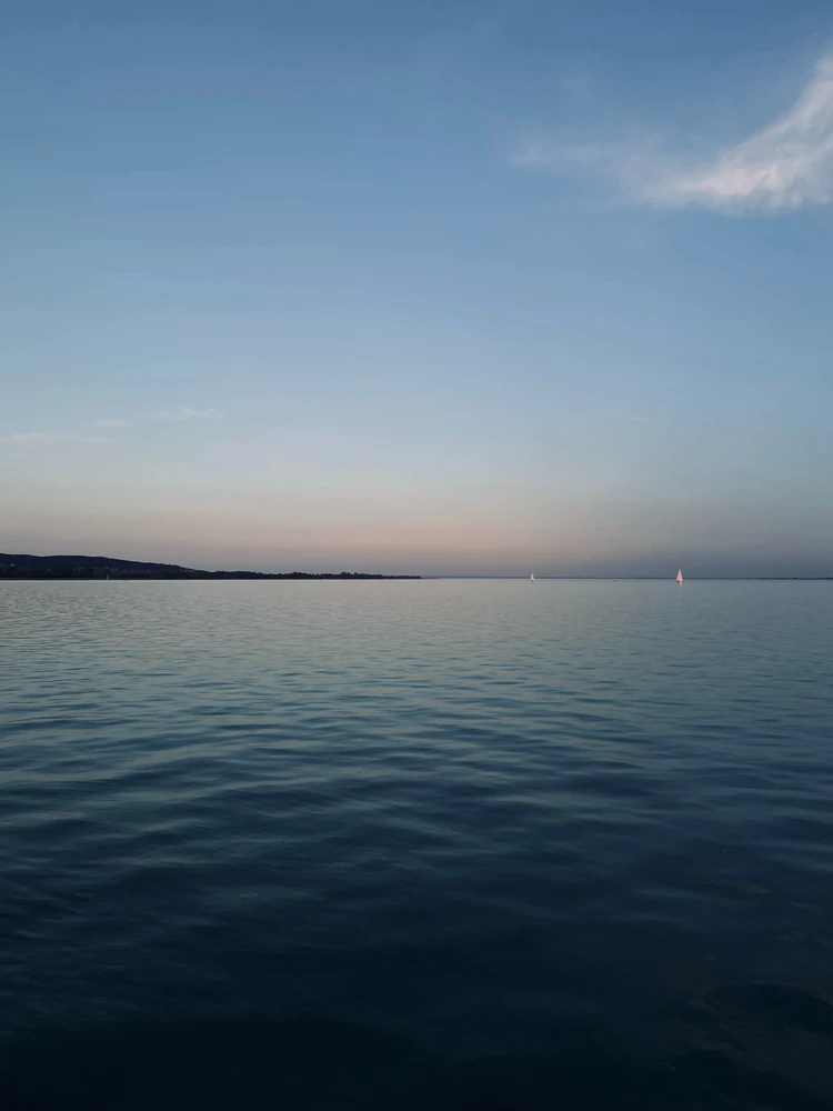 GIF uploaded by Eszti