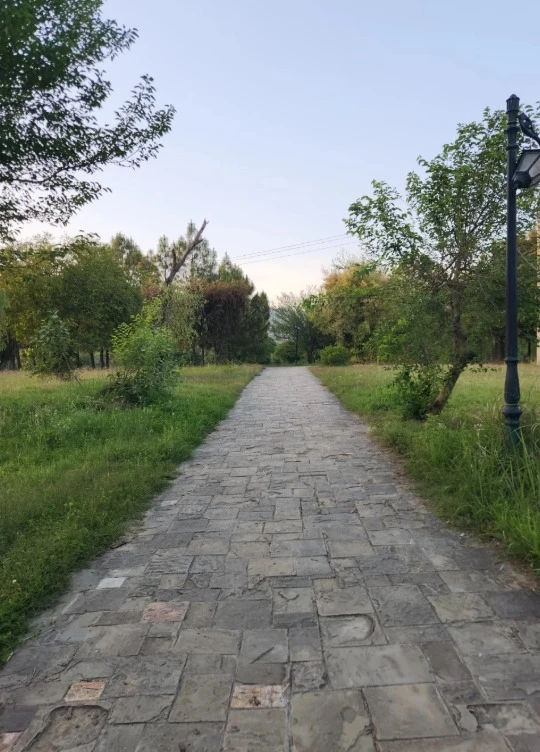 Sliku je postavio/la Dawood