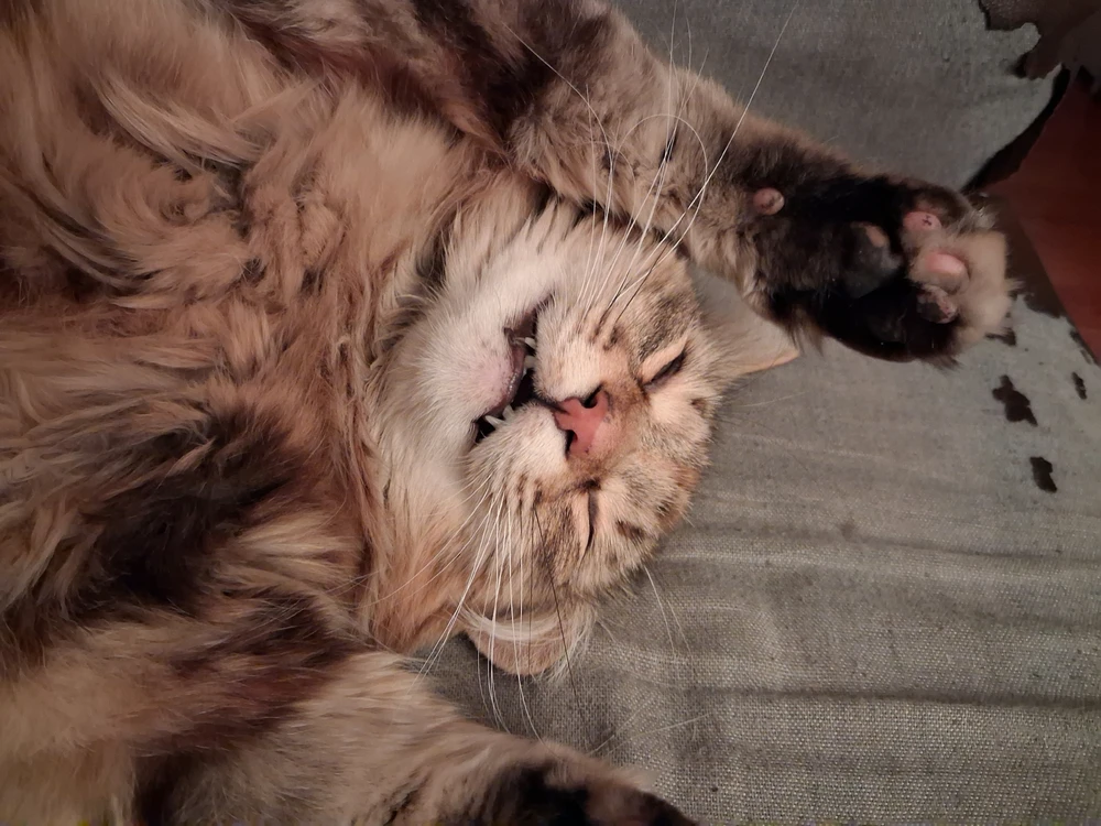 GIF uploaded by Crimson
