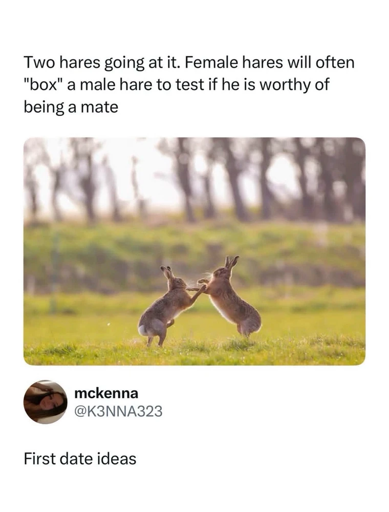 GIF eropgeluede vum Christiane