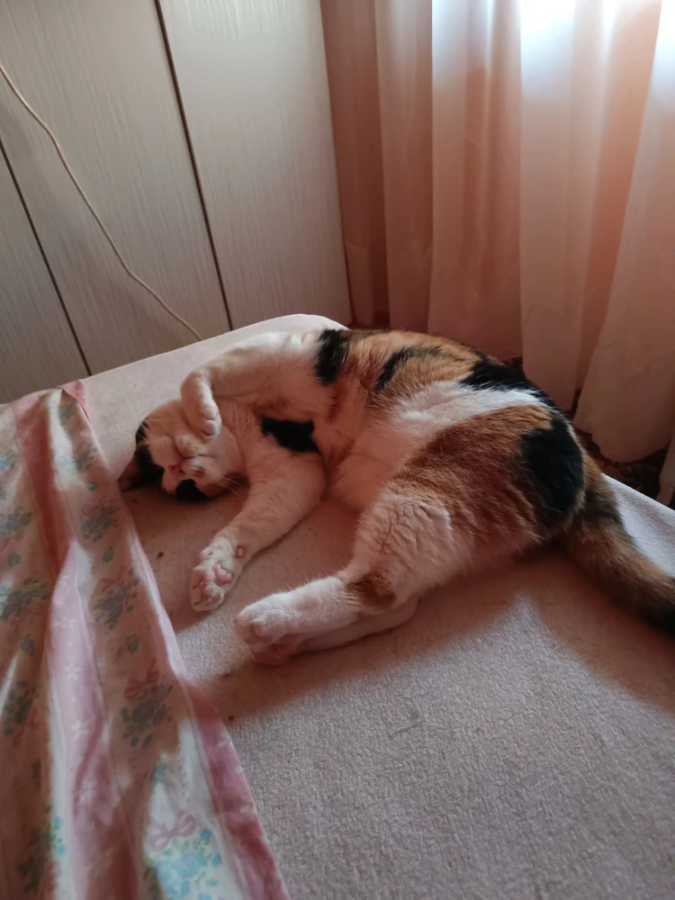 GIF diunggah ku Korin