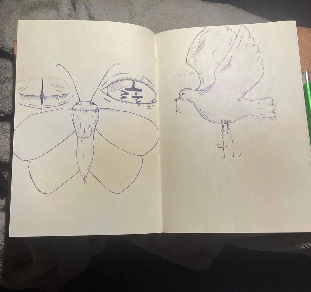 One is a drawing for a tattoo my mom wanted ( the bird) the other one is something i invested a lot of time
