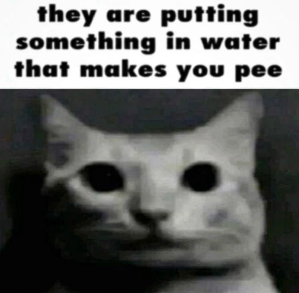 GIF eropgeluede vum Nick
