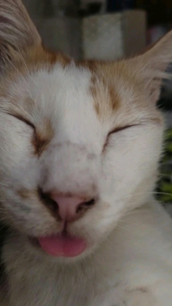 Image uploaded by Ramara
