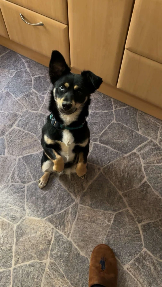 GIF uploaded by Cornelius