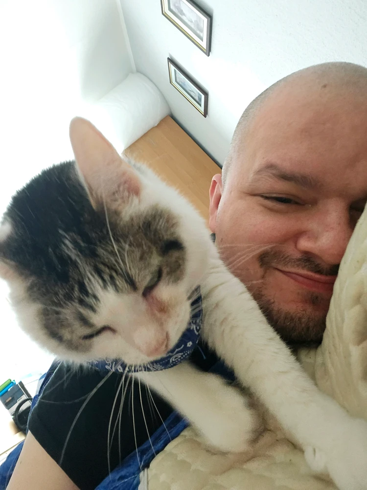 GIF uploaded by devs