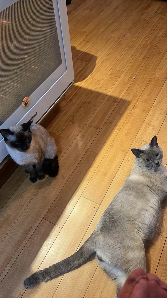 GIF uploaded by Hathor