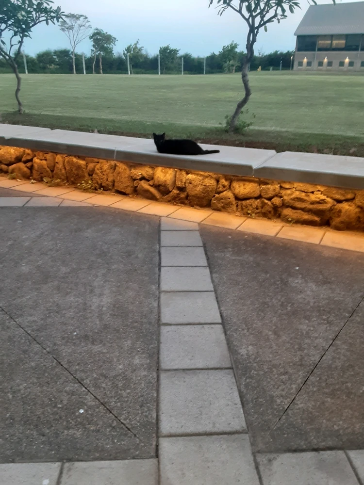 GIF uploaded by Lauren