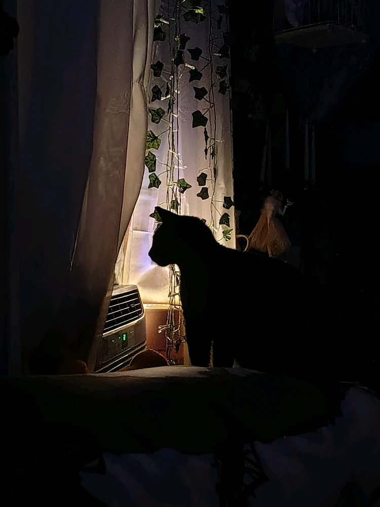 GIF uploaded by Z