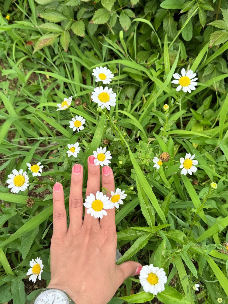 GIF uploaded by cy