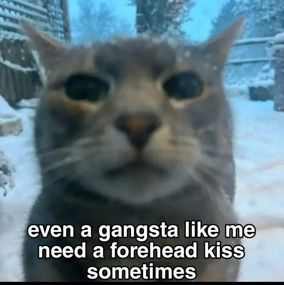Jez๋์ด ์ฌ๋ฆฐ GIF