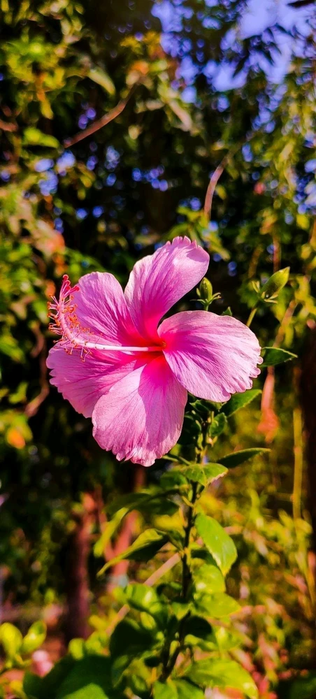 GIF uploaded by Leen