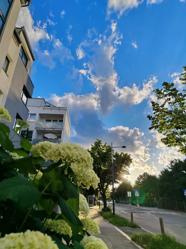 GIF uploaded by Tithi