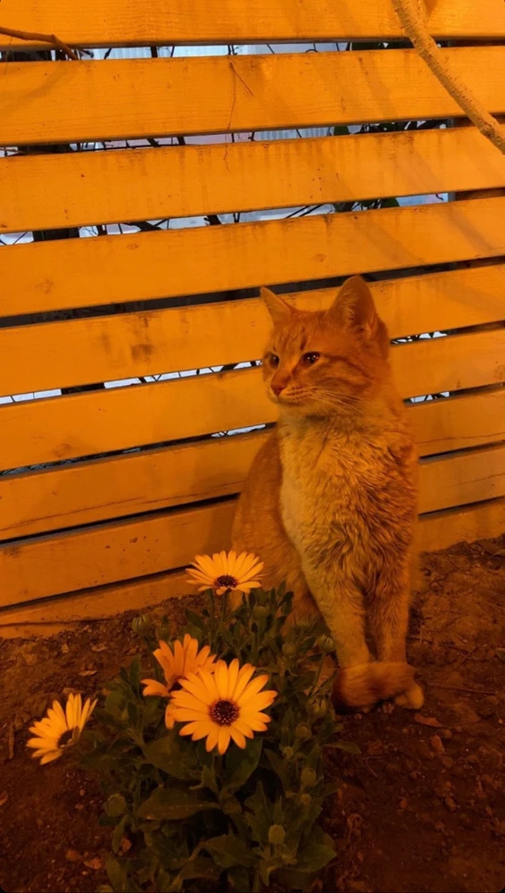 GIF uploaded by Mete