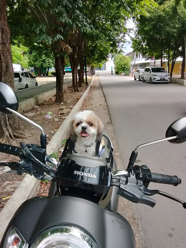 GIF uploaded by Ana Maria
