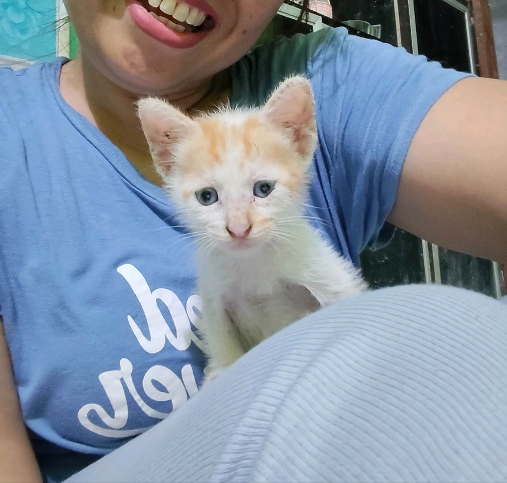 GIF uploaded by ReadBioBruuH