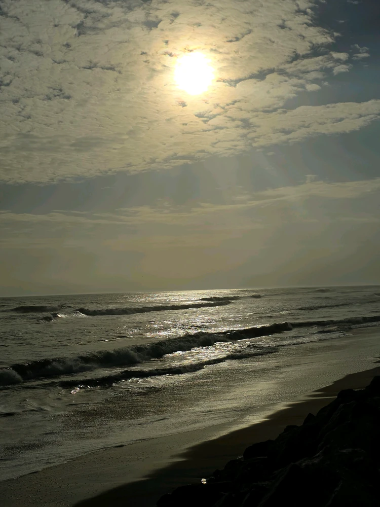 GIF uploaded by Mohammed Gershom