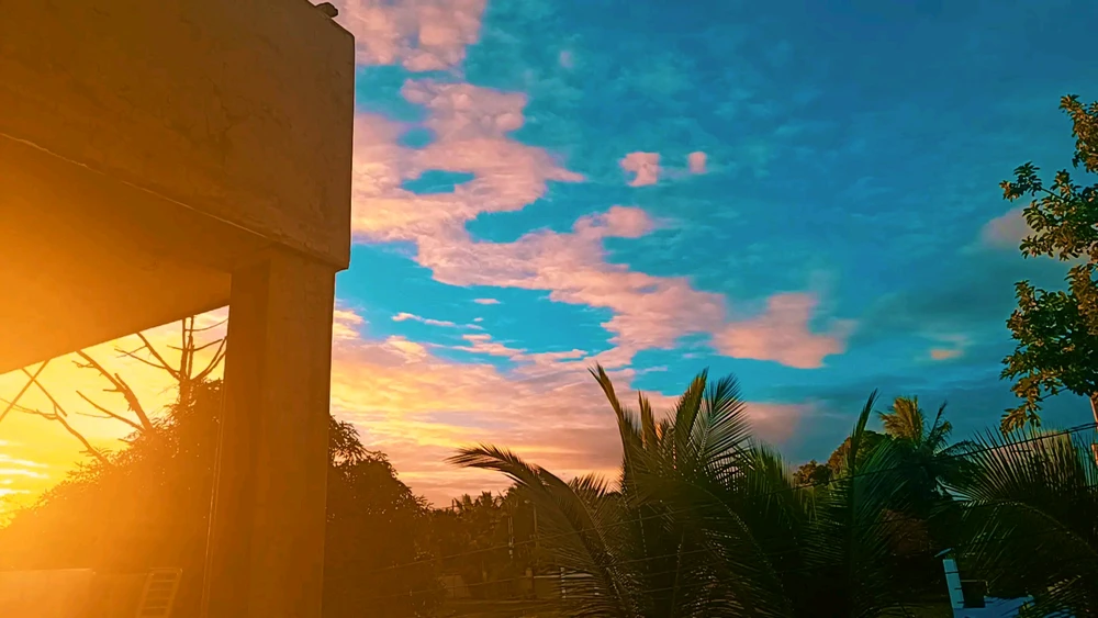 GIF uploaded by αηηα