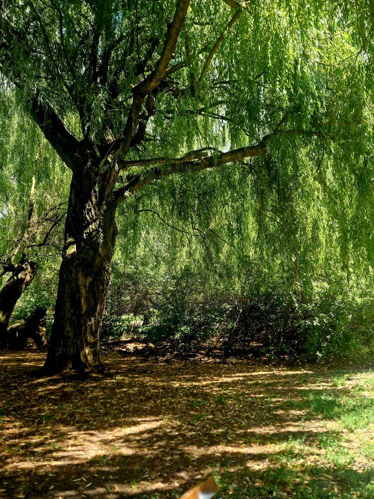 GIF uploaded by Karol