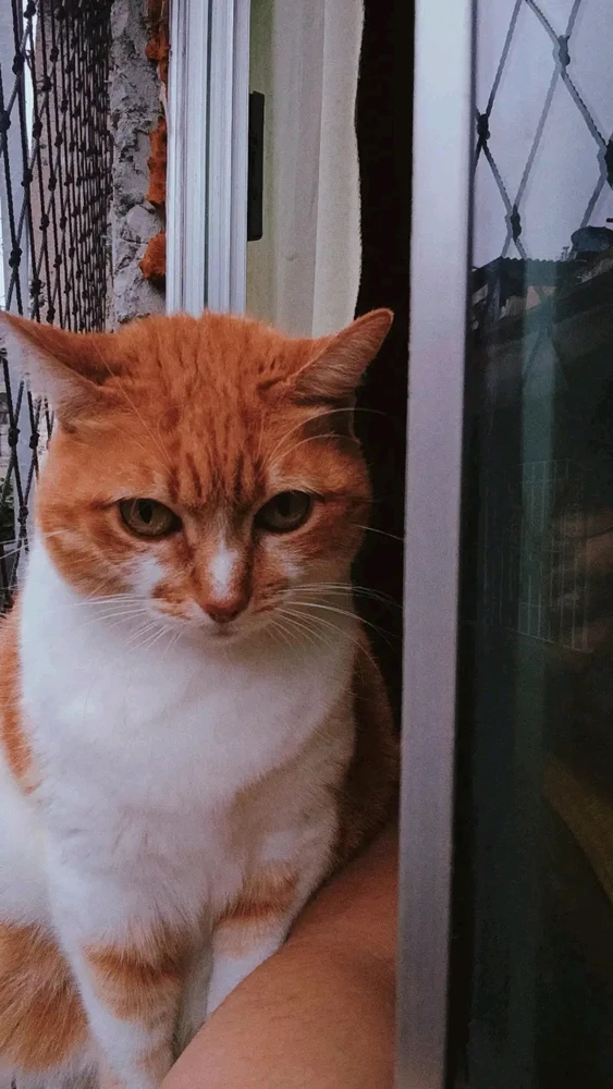 GIF uploaded by Micha