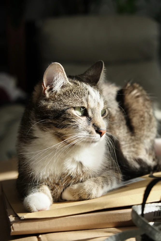 GIF uploaded by Alek