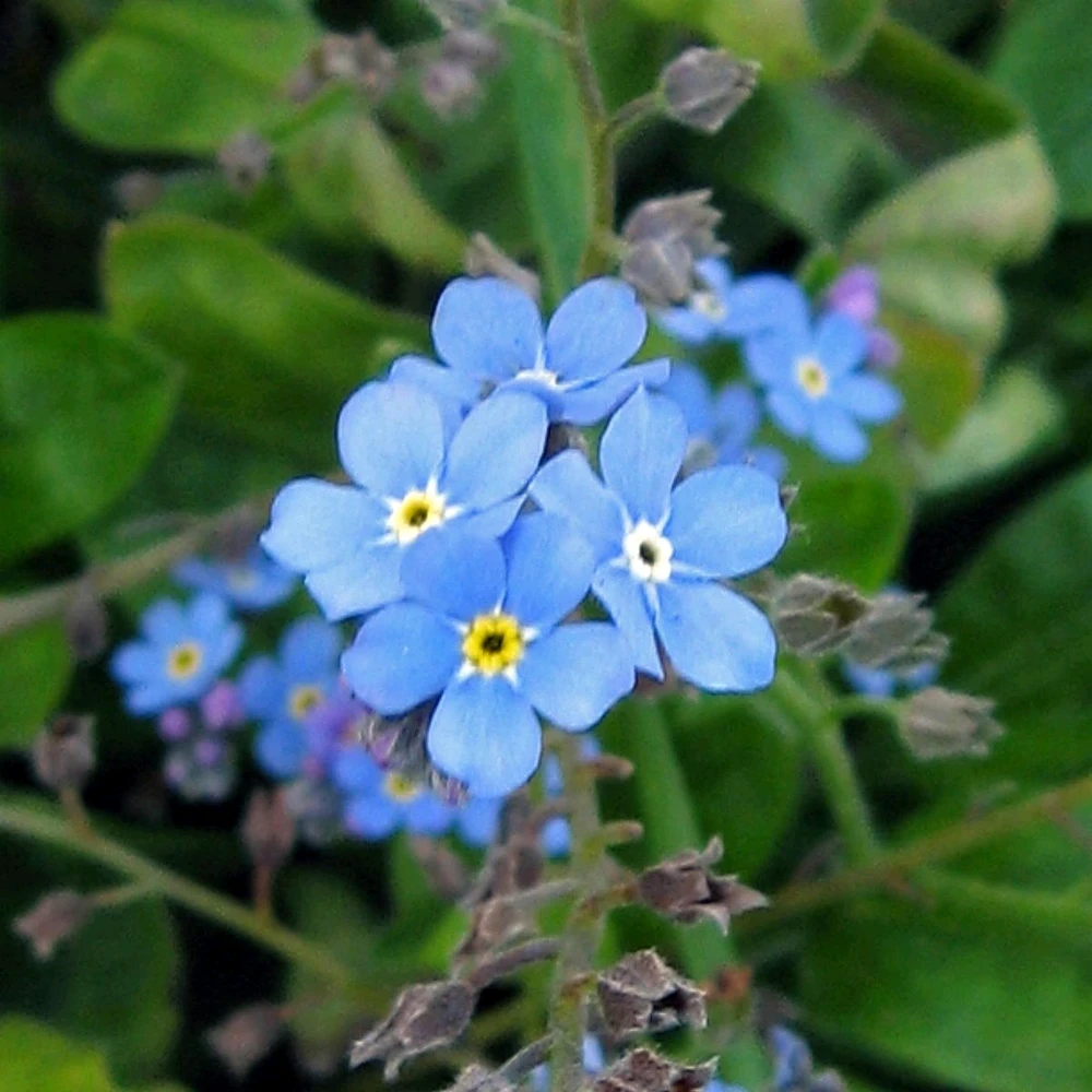 GIF uploaded by Tithi