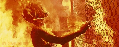 GIF uploaded by Gabrio aka Milord
