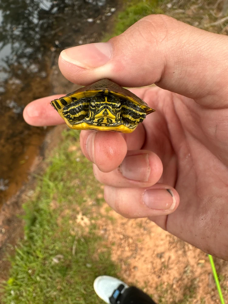 GIF uploaded by Preston