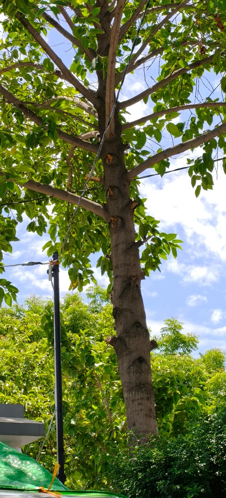 GIF uploaded by Naman MAURYA